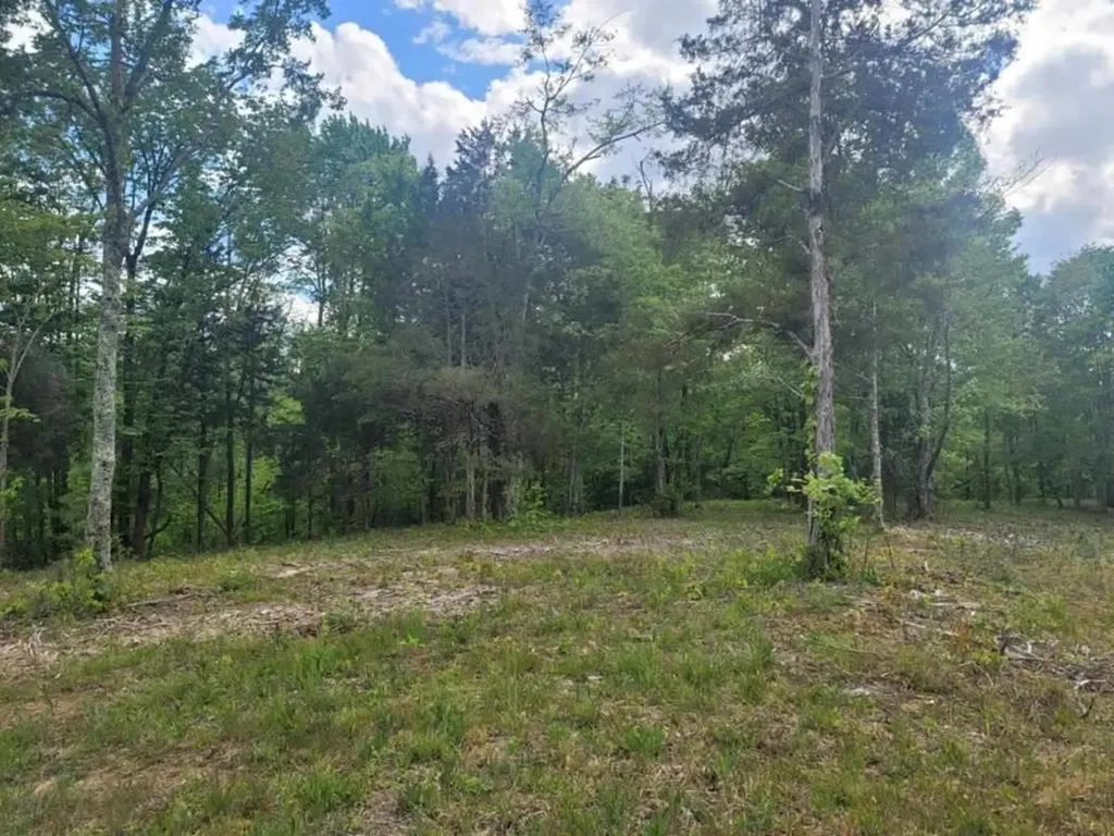 0 York Highway Gainesboro TN 38562