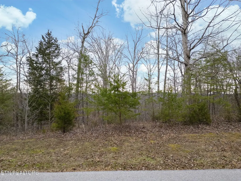 205 Reserve Point Kingston TN 37763
