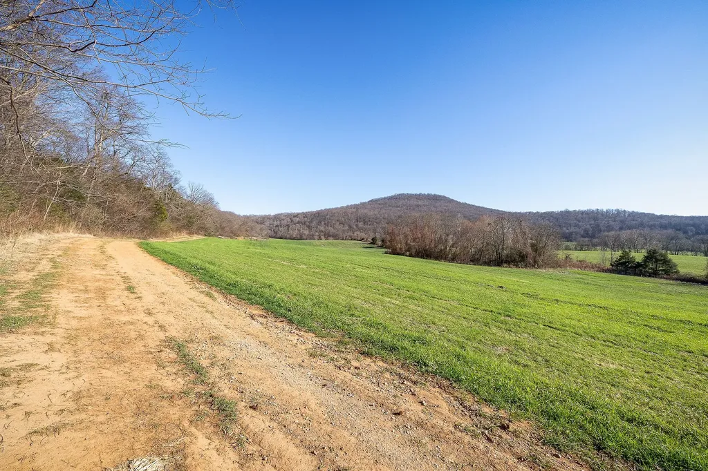 505 Thaxton Road Mcminnville TN 37110