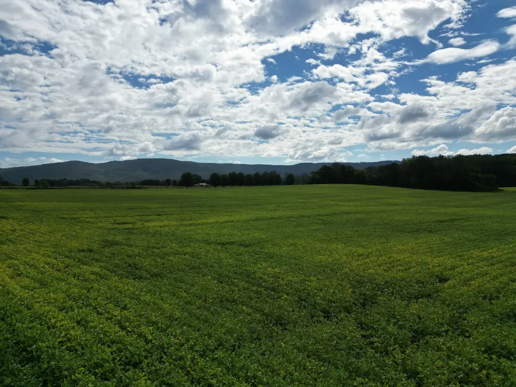 0 Holders Cove Road Winchester TN 37398