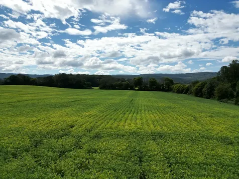 0 Holders Cove Road Winchester TN 37398