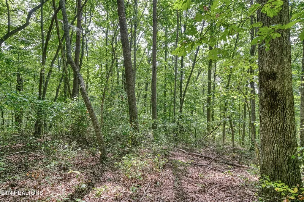 0 Creek Drive Monterey TN 38574