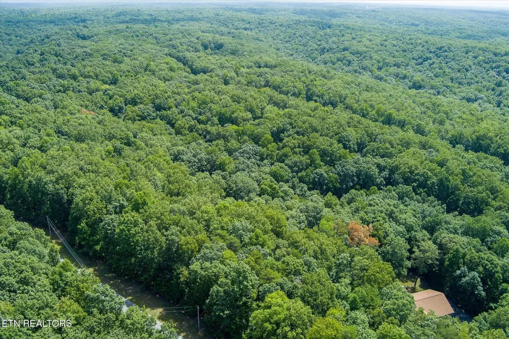 0 Creek Drive Monterey TN 38574