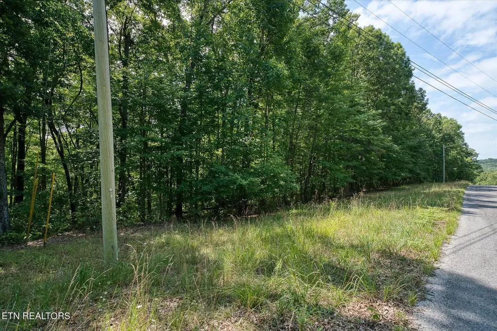 0 Creek Drive Monterey TN 38574