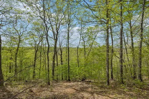 394 Heron Ridge Court Clarksville TN 37040