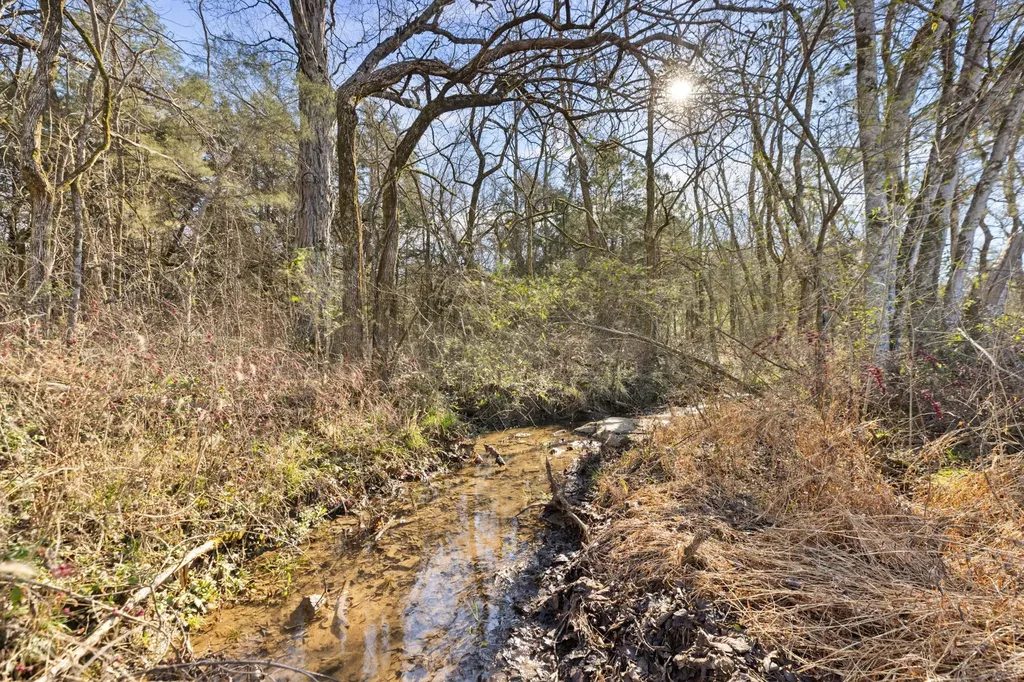 2265 Holly Grove Road Lewisburg TN 37091