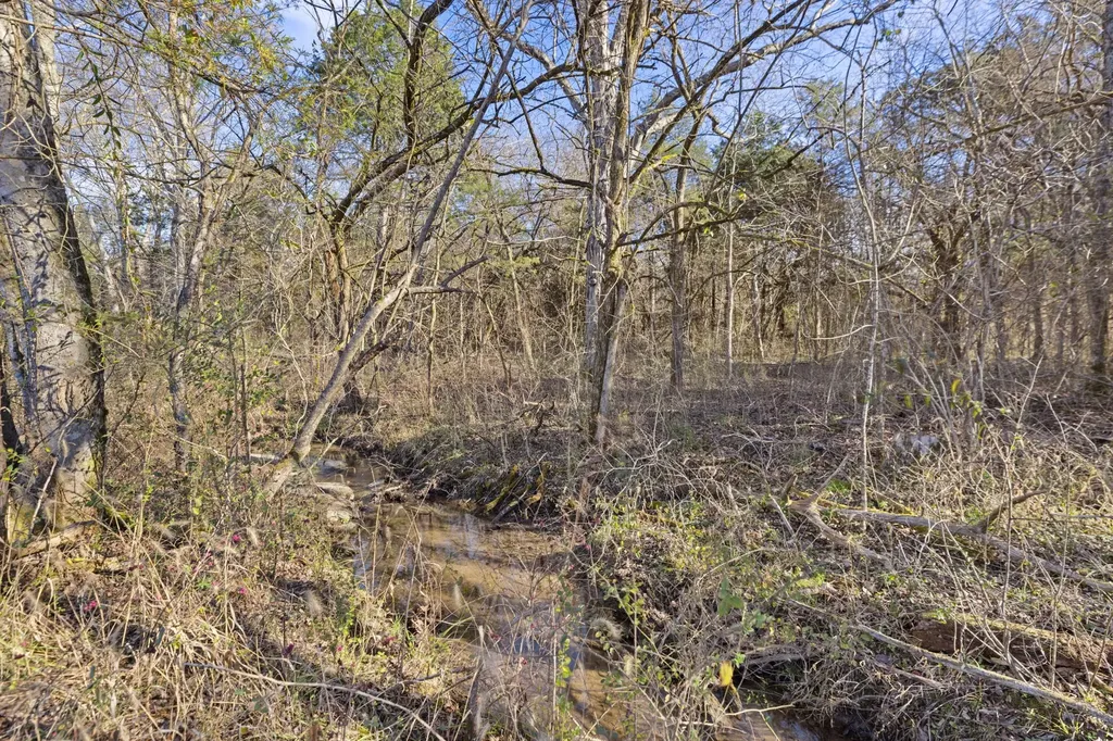 2265 Holly Grove Road Lewisburg TN 37091