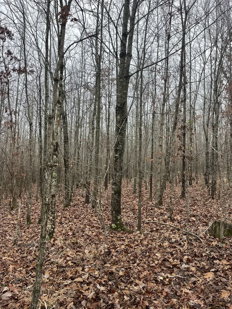 0 Lawrenceburg Highway Lawrenceburg TN 38464