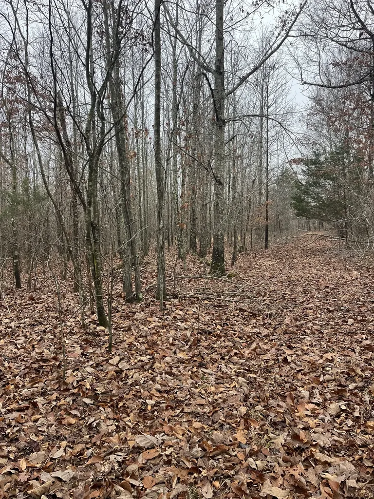 0 Lawrenceburg Highway Lawrenceburg TN 38464