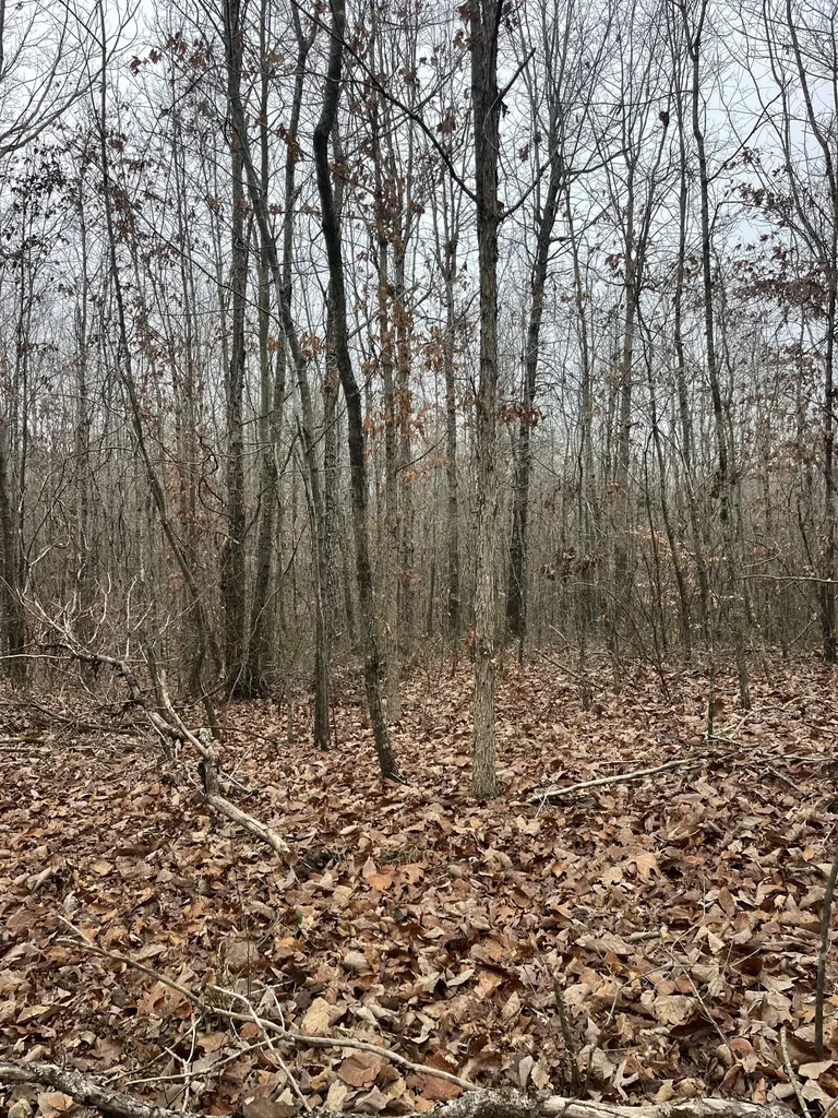 0 Lawrenceburg Highway Lawrenceburg TN 38464