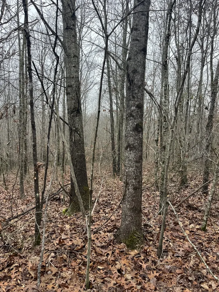 0 Lawrenceburg Highway Lawrenceburg TN 38464