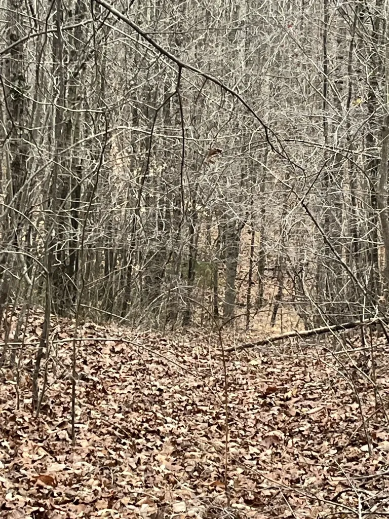 0 Lawrenceburg Highway Lawrenceburg TN 38464