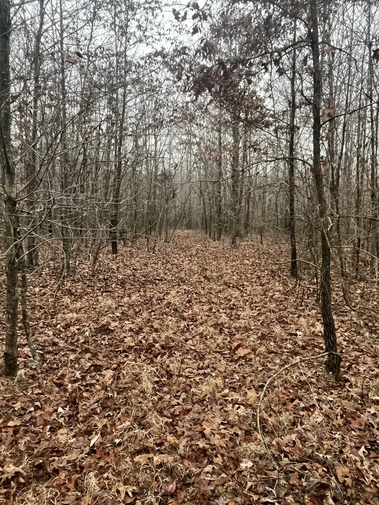 0 Lawrenceburg Highway Lawrenceburg TN 38464