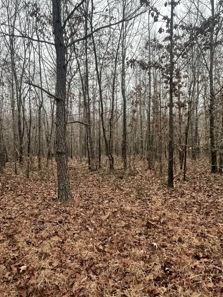 0 Lawrenceburg Highway Lawrenceburg TN 38464