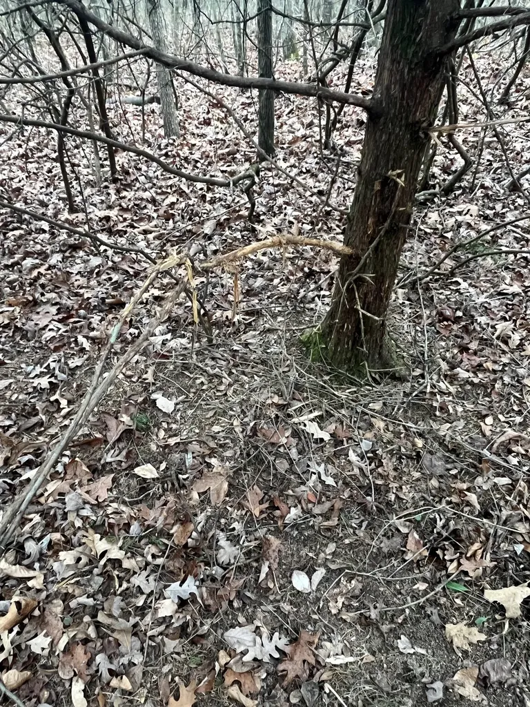 0 Lawrenceburg Highway Lawrenceburg TN 38464