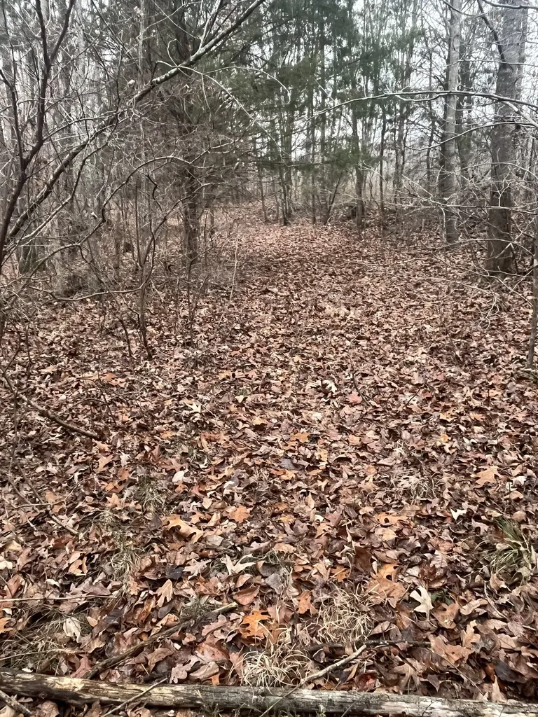 0 Lawrenceburg Highway Lawrenceburg TN 38464