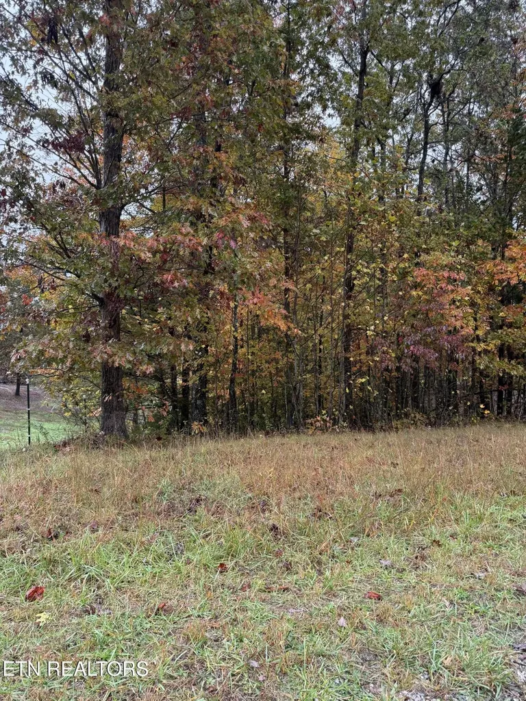 0 Eagle Bluff Jamestown TN 38556