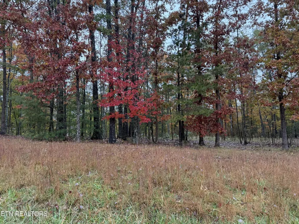 0 Eagle Bluff Jamestown TN 38556