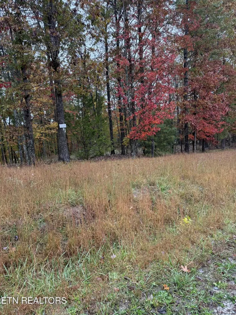 0 Eagle Bluff Jamestown TN 38556