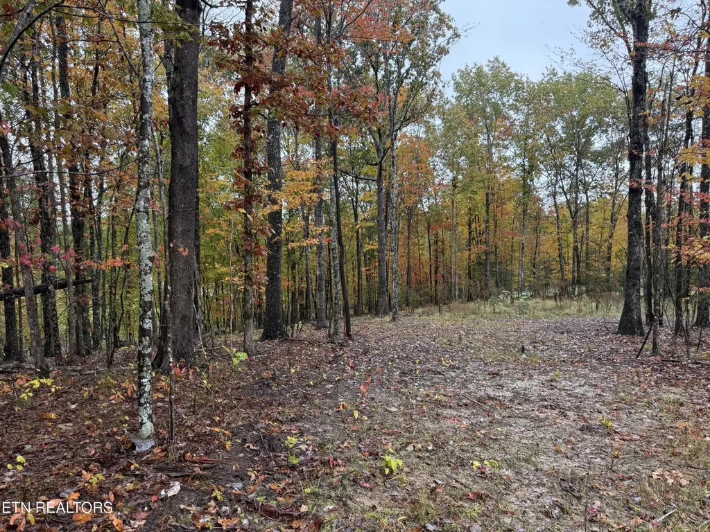 0 Eagle Bluff Jamestown TN 38556