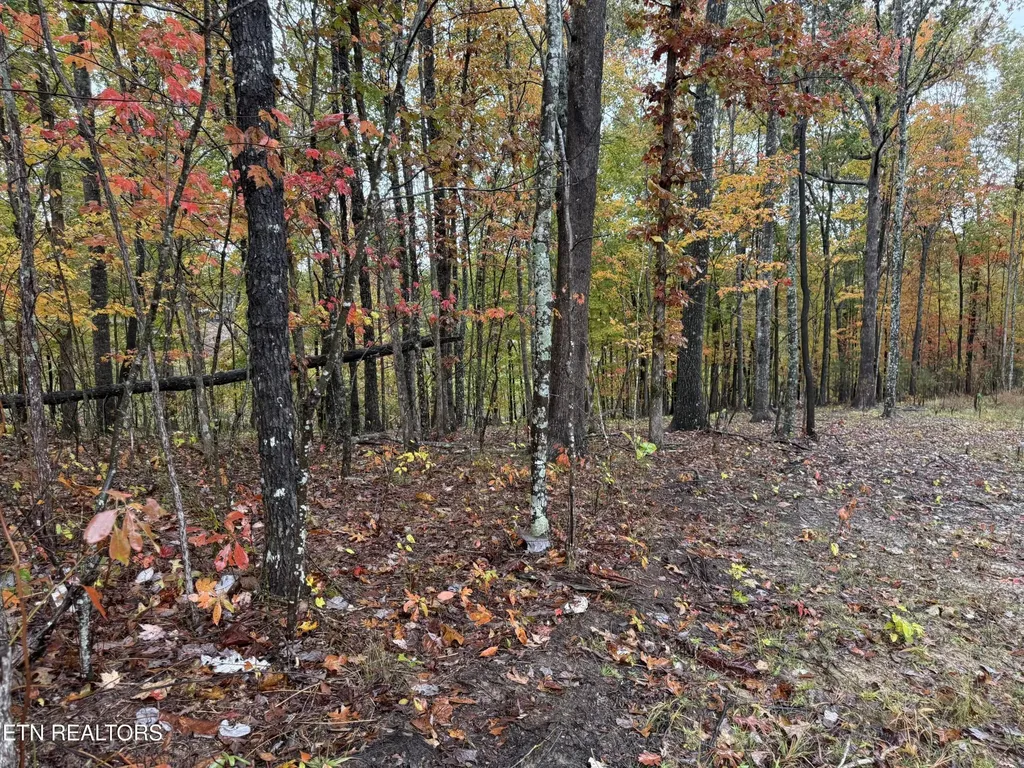 0 Eagle Bluff Jamestown TN 38556