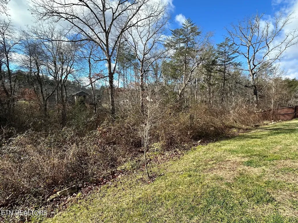 63 Whitetail Run Crossville TN 38555