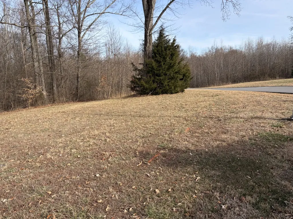 0 Hunters Landing Drive Manchester TN 37355