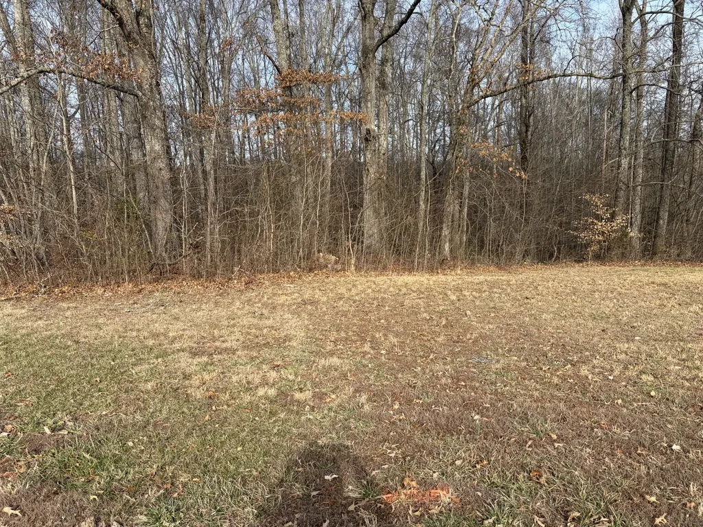 0 Hunters Landing Drive Manchester TN 37355