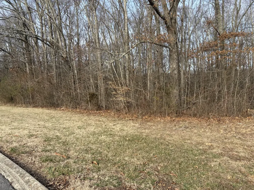 0 Hunters Landing Drive Manchester TN 37355