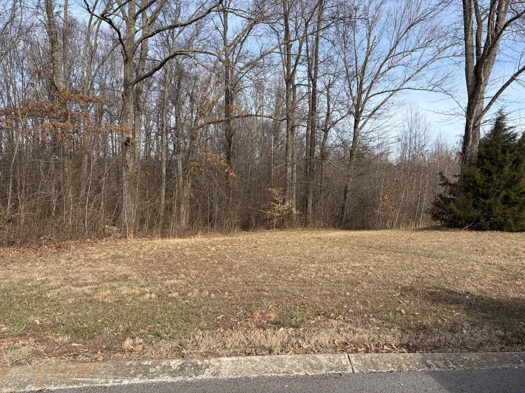 0 Hunters Landing Drive Manchester TN 37355