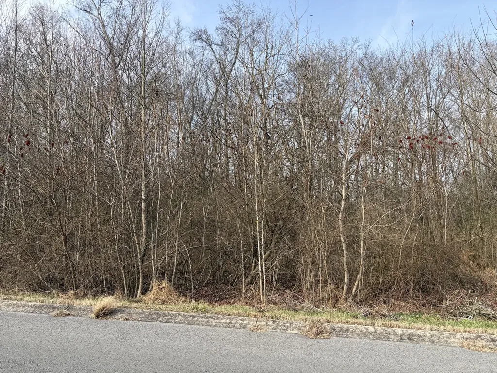 0 Hunters Landing Drive Manchester TN 37355