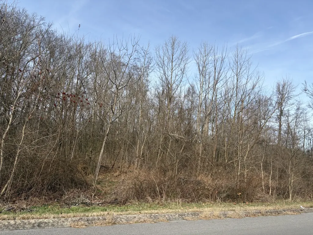 0 Hunters Landing Drive Manchester TN 37355