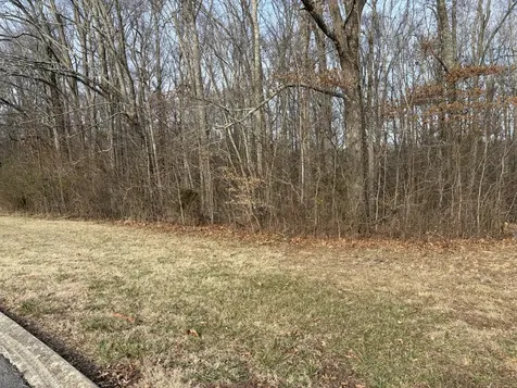0 Hunters Landing Drive Manchester TN 37355
