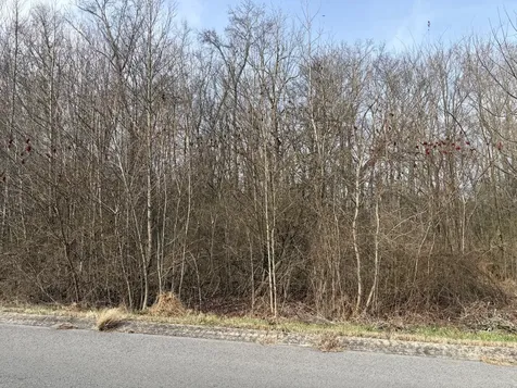 0 Hunters Landing Drive Manchester TN 37355