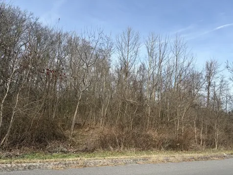 0 Hunters Landing Drive Manchester TN 37355