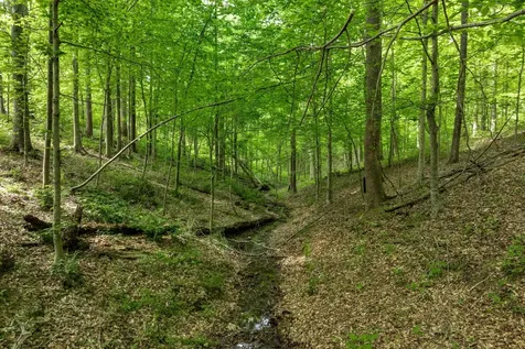 5675 Natchez Trace Road Franklin TN 37064