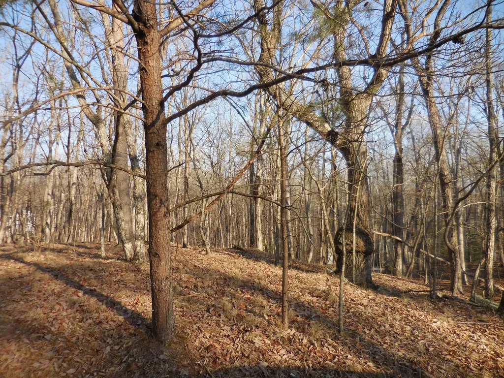 133 Greenbrier Loop Crossville TN 38558