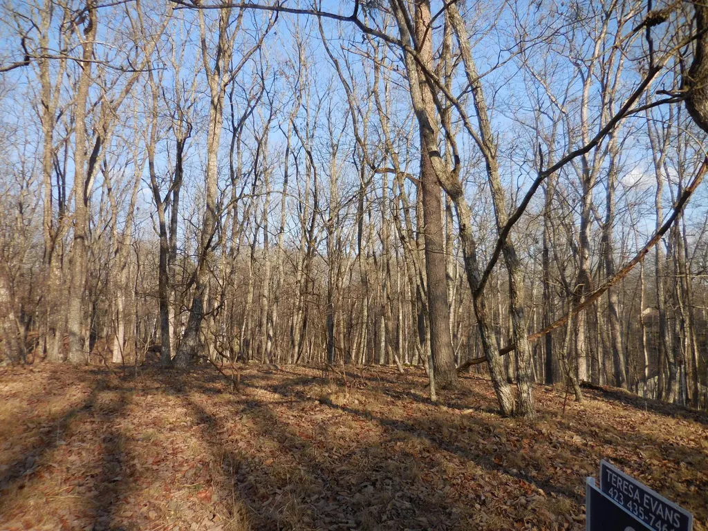 133 Greenbrier Loop Crossville TN 38558