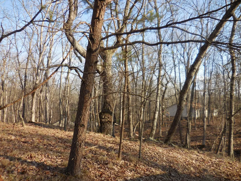 133 Greenbrier Loop Crossville TN 38558
