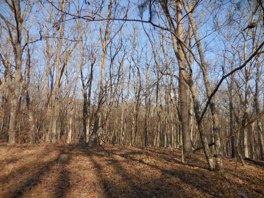 133 Greenbrier Loop Crossville TN 38558