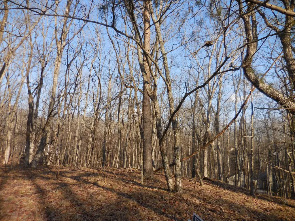 133 Greenbrier Loop Crossville TN 38558