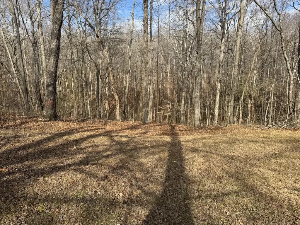 7531 Highway 100 Bon Aqua TN 37025