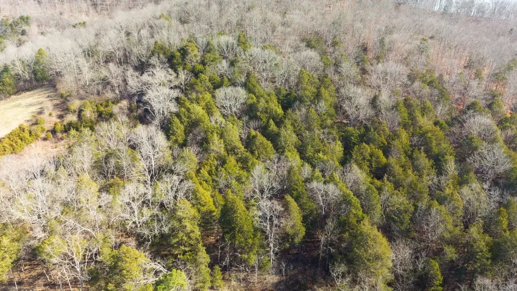 0 85 E Of Old S #R, E Gainesboro TN 38562