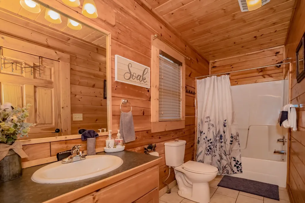 552 Blackberry Ridge Way Pigeon Forge TN 37863