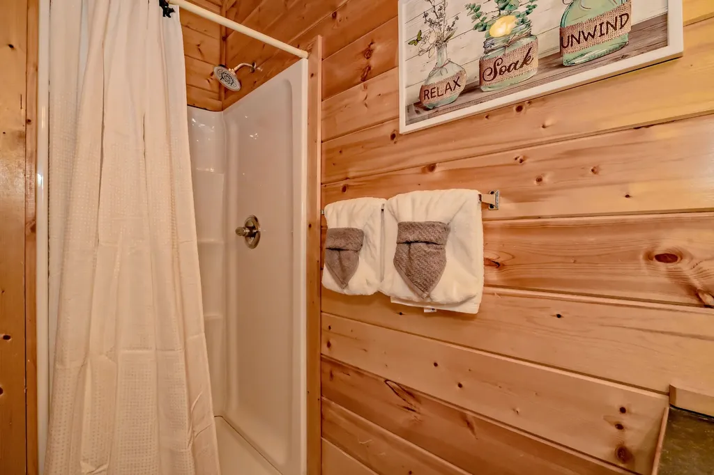 552 Blackberry Ridge Way Pigeon Forge TN 37863