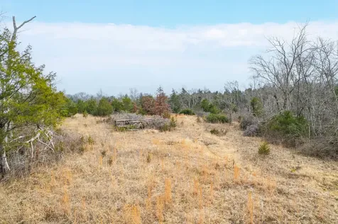 5036 Kedron Road Columbia TN 38401