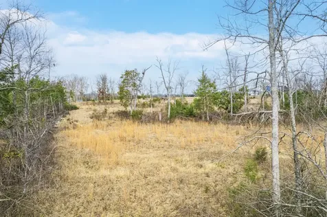 5036 Kedron Road Columbia TN 38401
