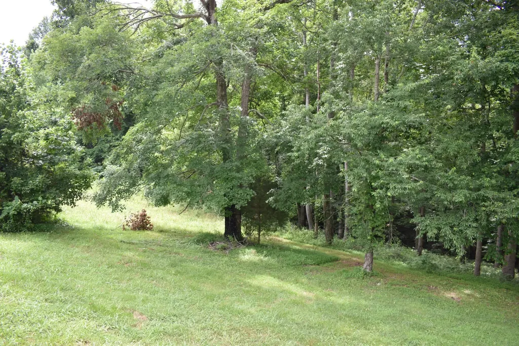 1423 Pack Road White Bluff TN 37187