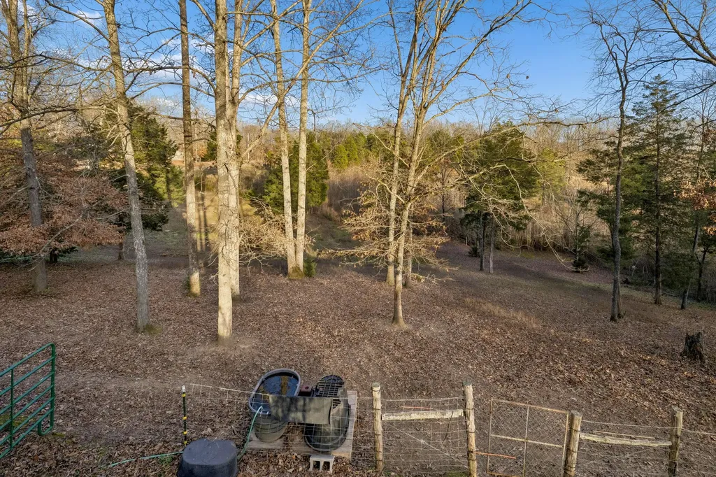 20151 Ben Fly Road Lyles TN 37098