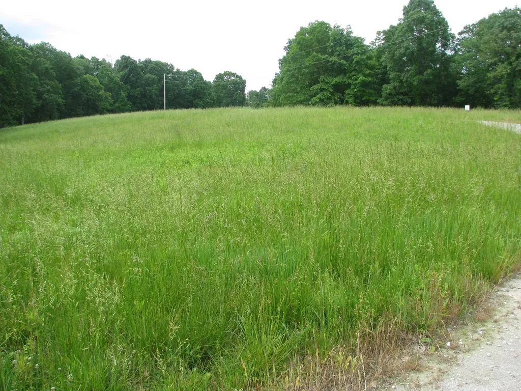 0 Barge Lane Waverly TN 37185